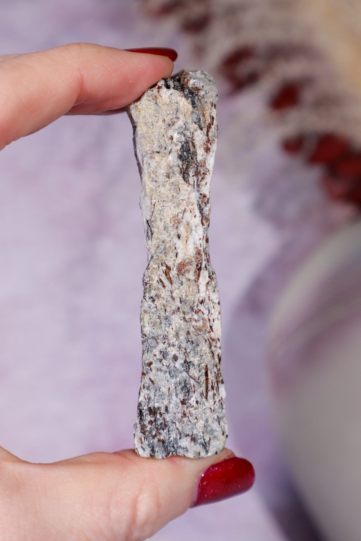 Astrophyllite Mineral Specimen 7.7cm Specimen Tali & Loz Crystals