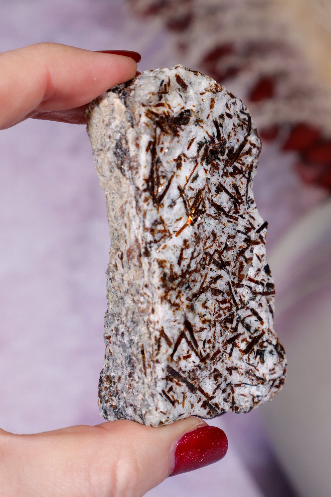 Astrophyllite Mineral Specimen 7.7cm Specimen Tali & Loz Crystals