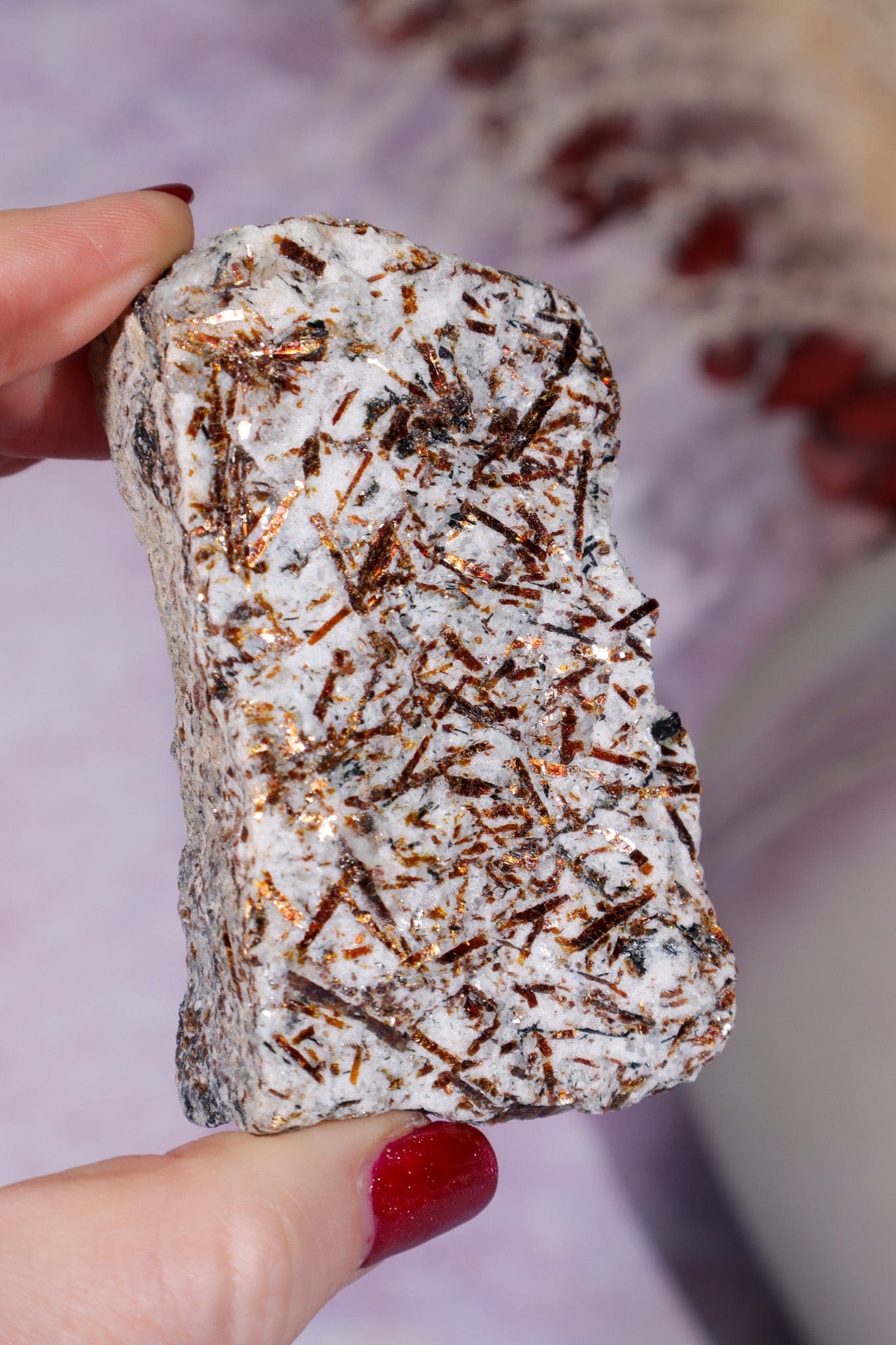 Astrophyllite Mineral Specimen 7.7cm Specimen Tali & Loz Crystals