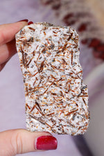 Astrophyllite Mineral Specimen 7.7cm Specimen Tali & Loz Crystals