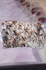 Astrophyllite Mineral Specimen 7.7cm Specimen Tali & Loz Crystals