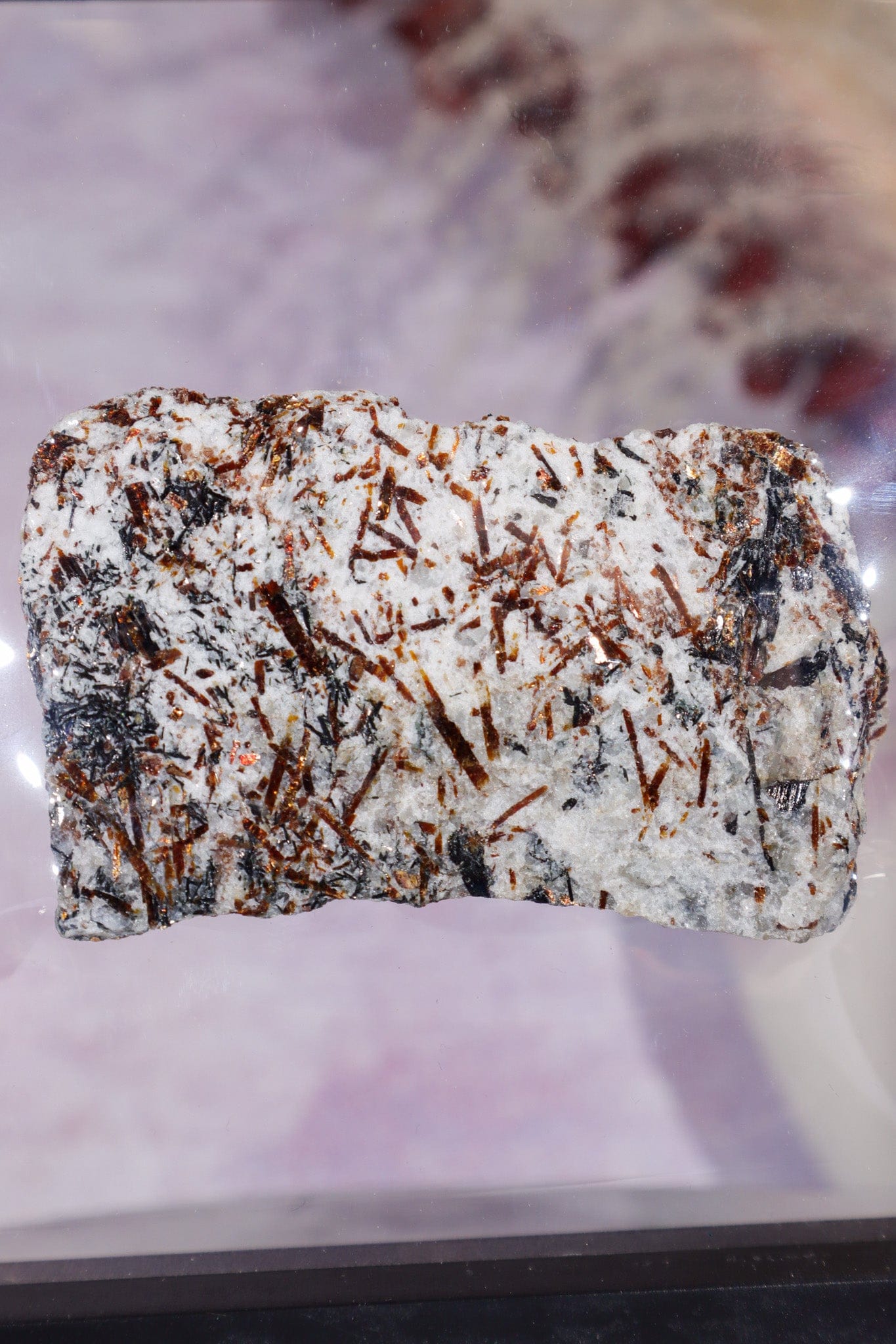 Astrophyllite Mineral Specimen 7.7cm Specimen Tali & Loz Crystals