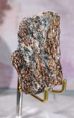 Astrophyllite Mineral Specimen 7cm Specimen Tali & Loz Crystals