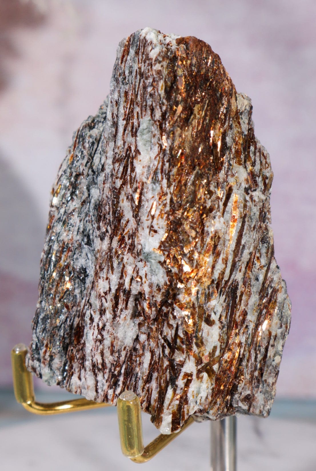 Astrophyllite Mineral Specimen 7cm Specimen Tali & Loz Crystals