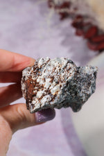Astrophyllite Mineral Specimen 7cm Specimen Tali & Loz Crystals