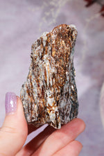 Astrophyllite Mineral Specimen 7cm Specimen Tali & Loz Crystals