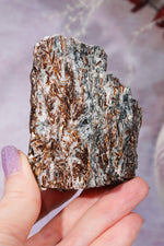 Astrophyllite Mineral Specimen 7cm Specimen Tali & Loz Crystals