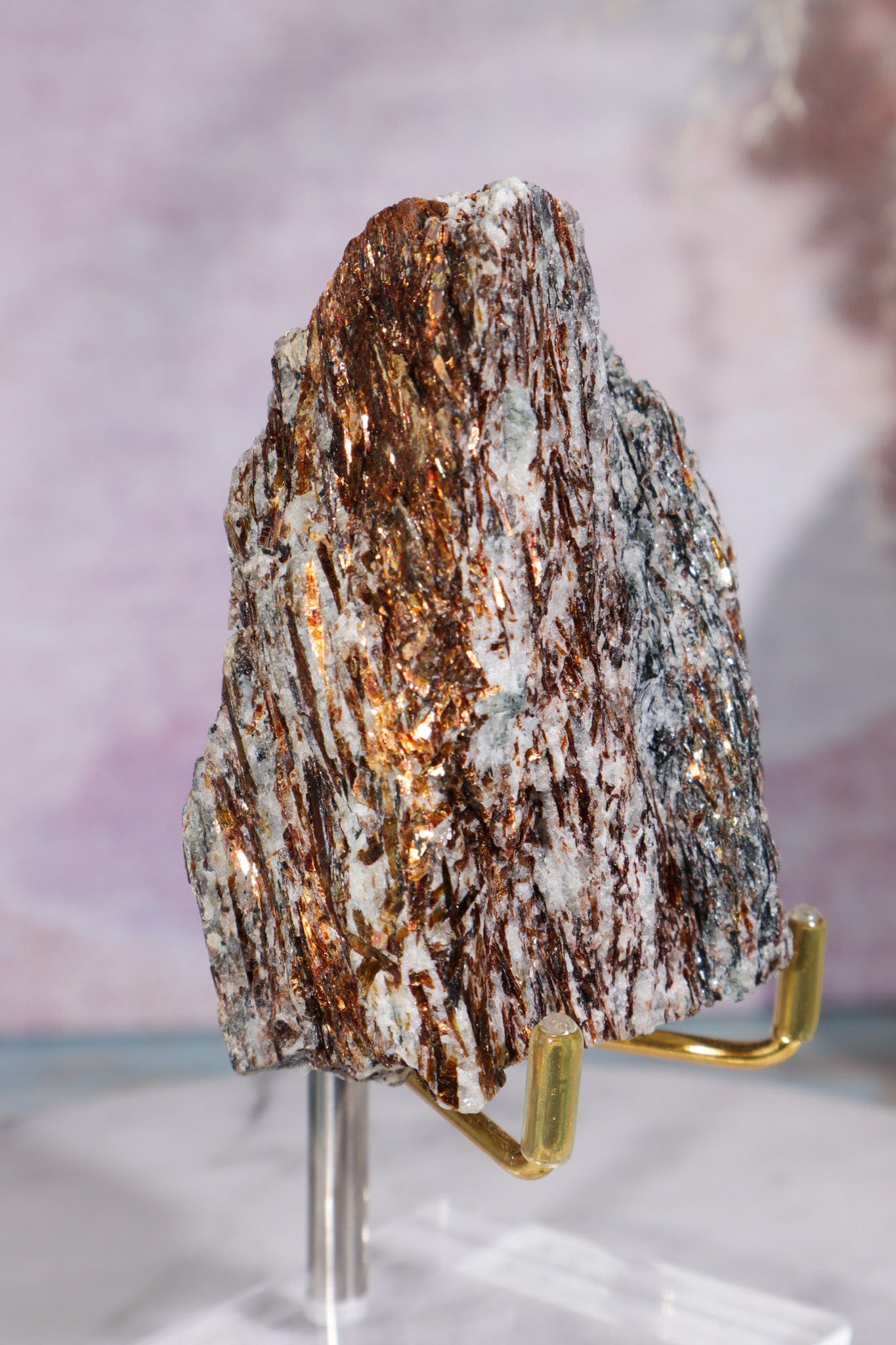 Astrophyllite Mineral Specimen 7cm Specimen Tali & Loz Crystals