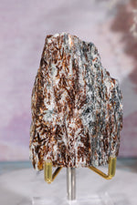 Astrophyllite Mineral Specimen 7cm Specimen Tali & Loz Crystals