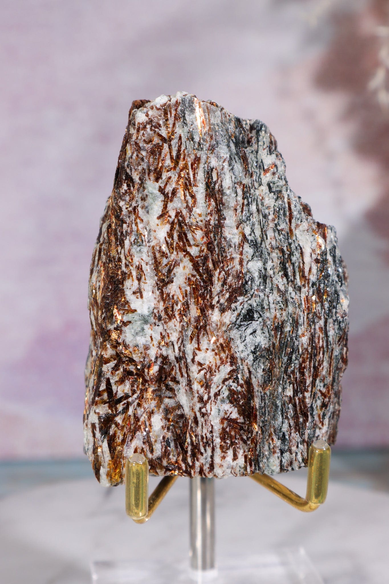 Astrophyllite Mineral Specimen 7cm Specimen Tali & Loz Crystals