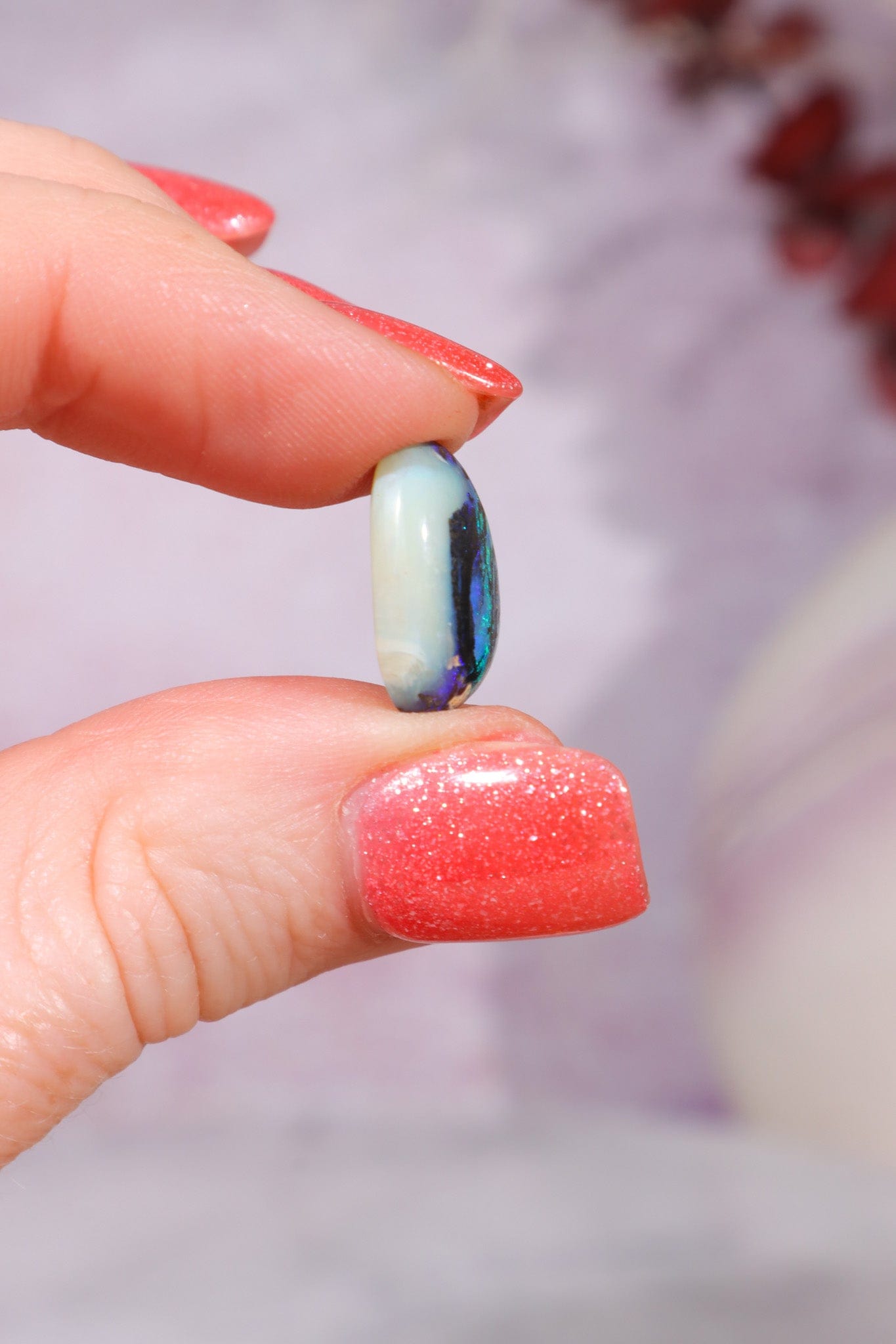 Australian Fern Fossil Opal Fossil Tali & Loz Crystals