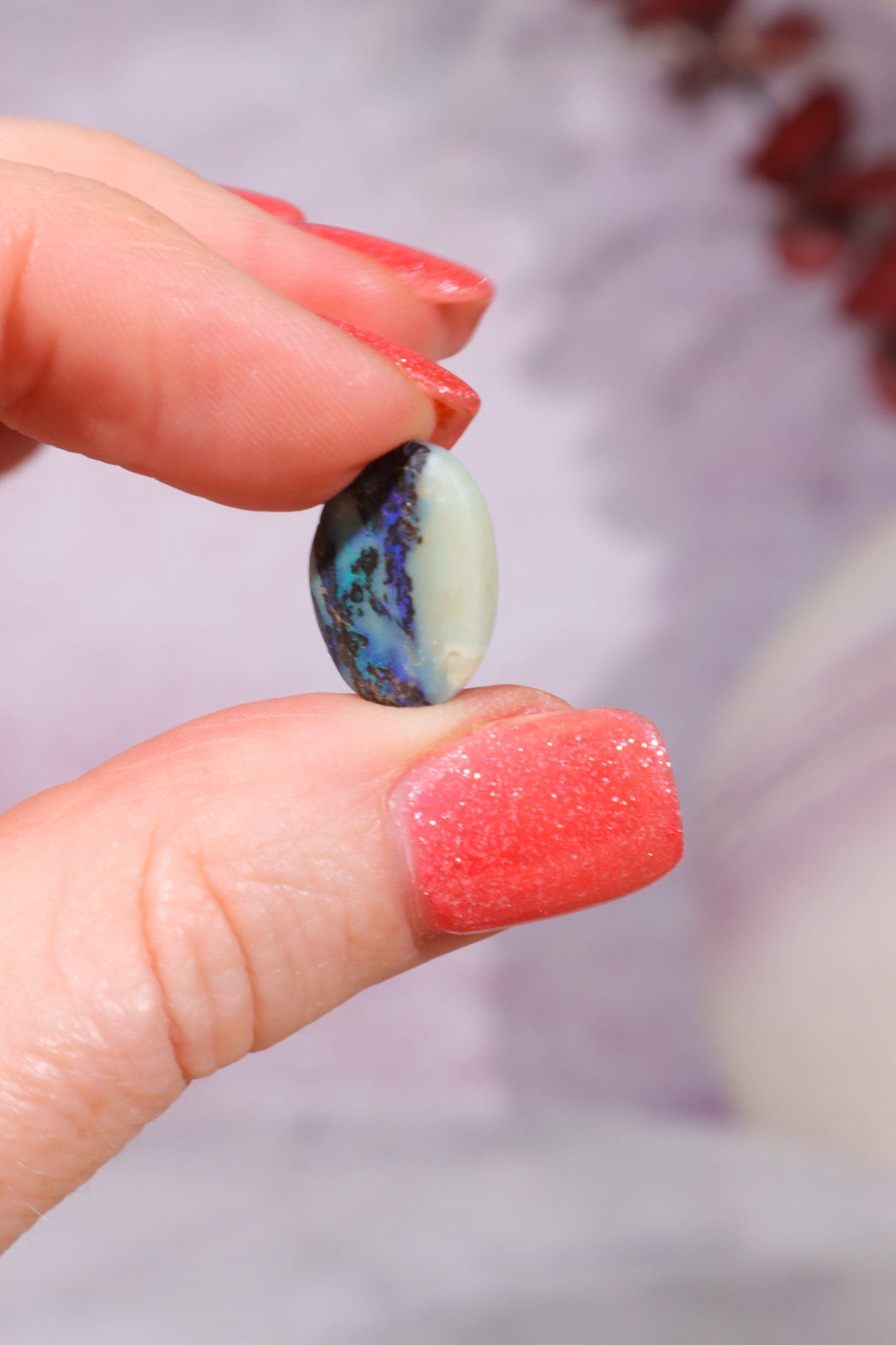 Australian Fern Fossil Opal Fossil Tali & Loz Crystals