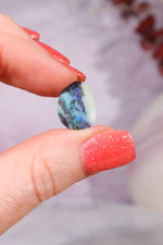 Australian Fern Fossil Opal Fossil Tali & Loz Crystals