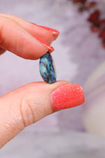 Australian Fern Fossil Opal Fossil Tali & Loz Crystals