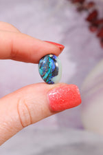 Australian Fern Fossil Opal Fossil Tali & Loz Crystals