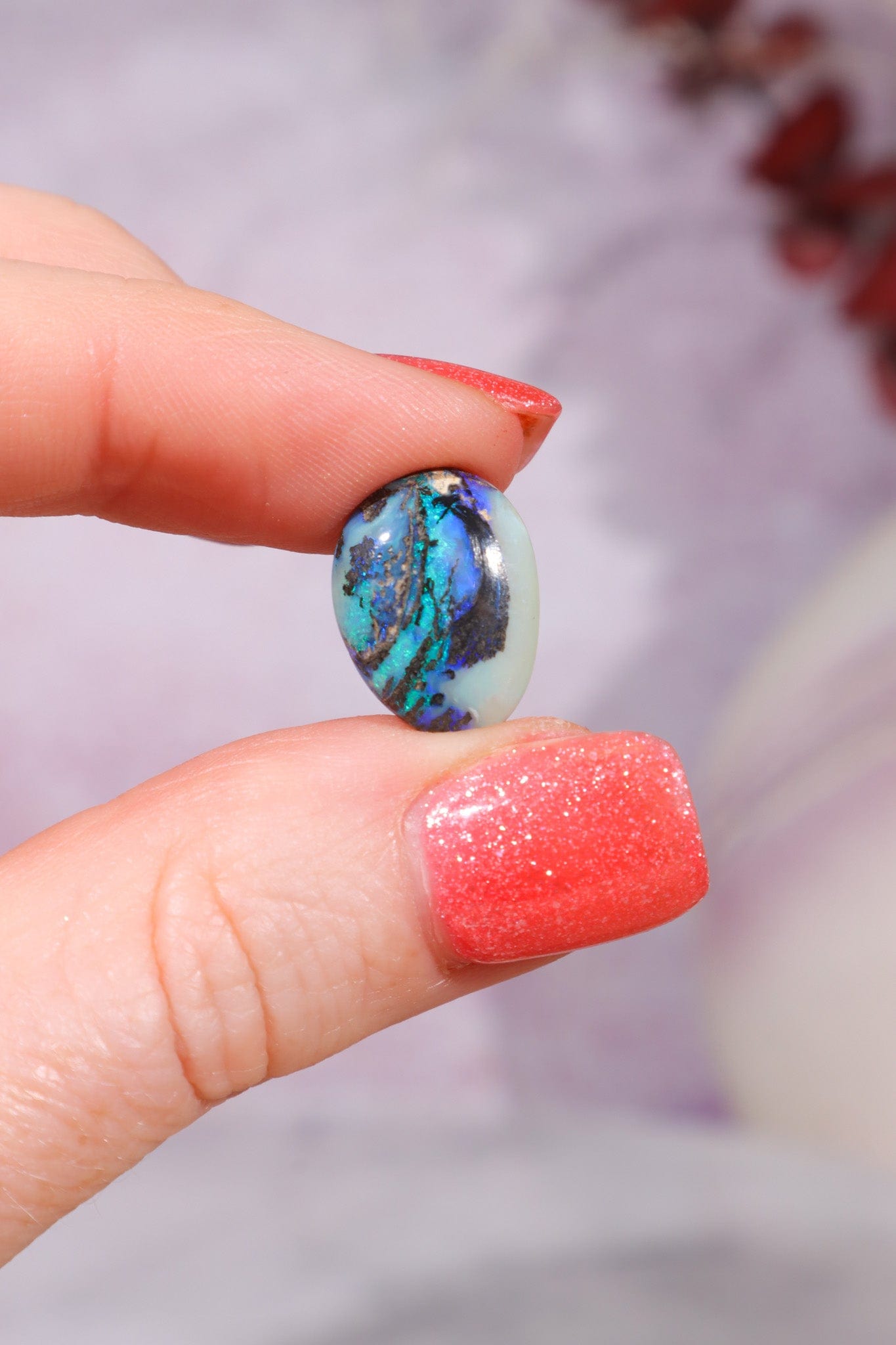 Australian Fern Fossil Opal Fossil Tali & Loz Crystals