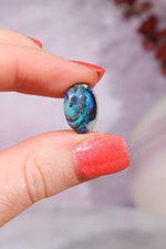 Australian Fern Fossil Opal Fossil Tali & Loz Crystals