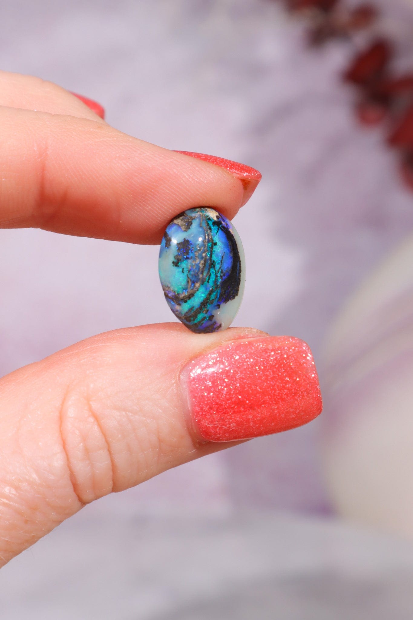 Australian Fern Fossil Opal Fossil Tali & Loz Crystals