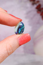 Australian Fern Fossil Opal Fossil Tali & Loz Crystals