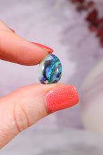 Australian Fern Fossil Opal Fossil Tali & Loz Crystals