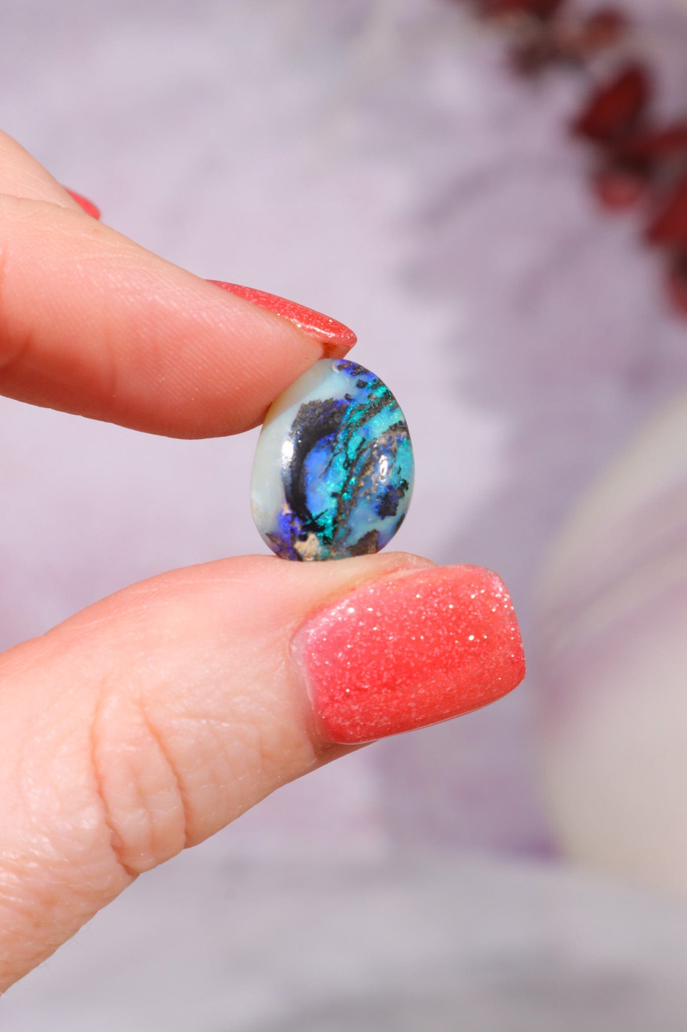 Australian Fern Fossil Opal Fossil Tali & Loz Crystals