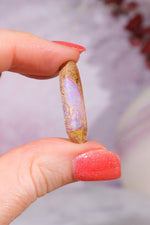 Australian Sand Fossil Opal Fossil Tali & Loz Crystals
