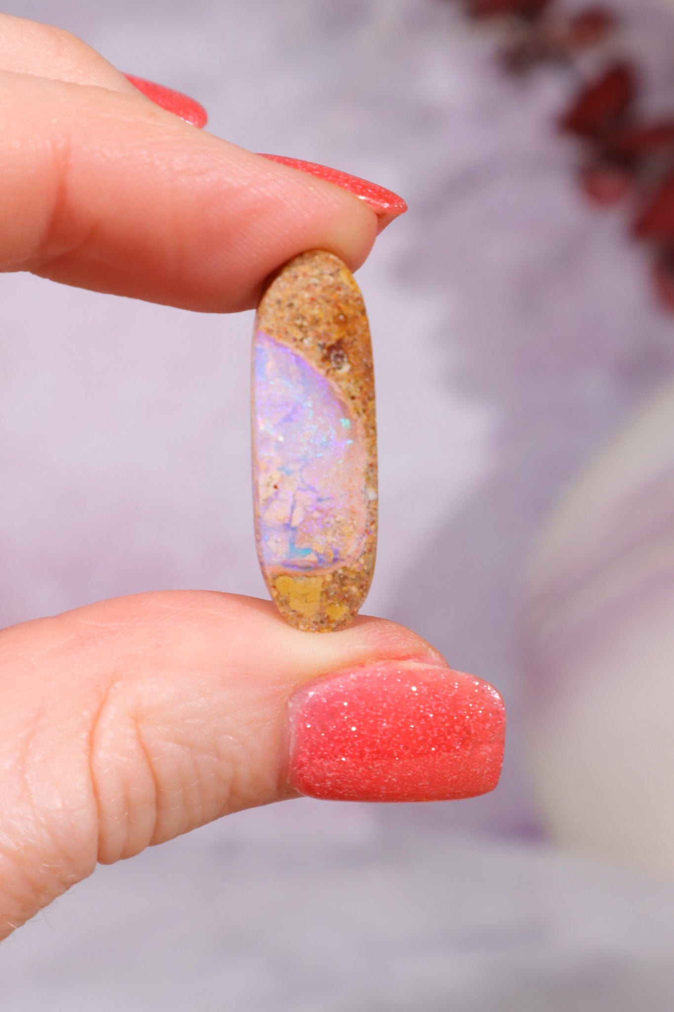 Australian Sand Fossil Opal Fossil Tali & Loz Crystals