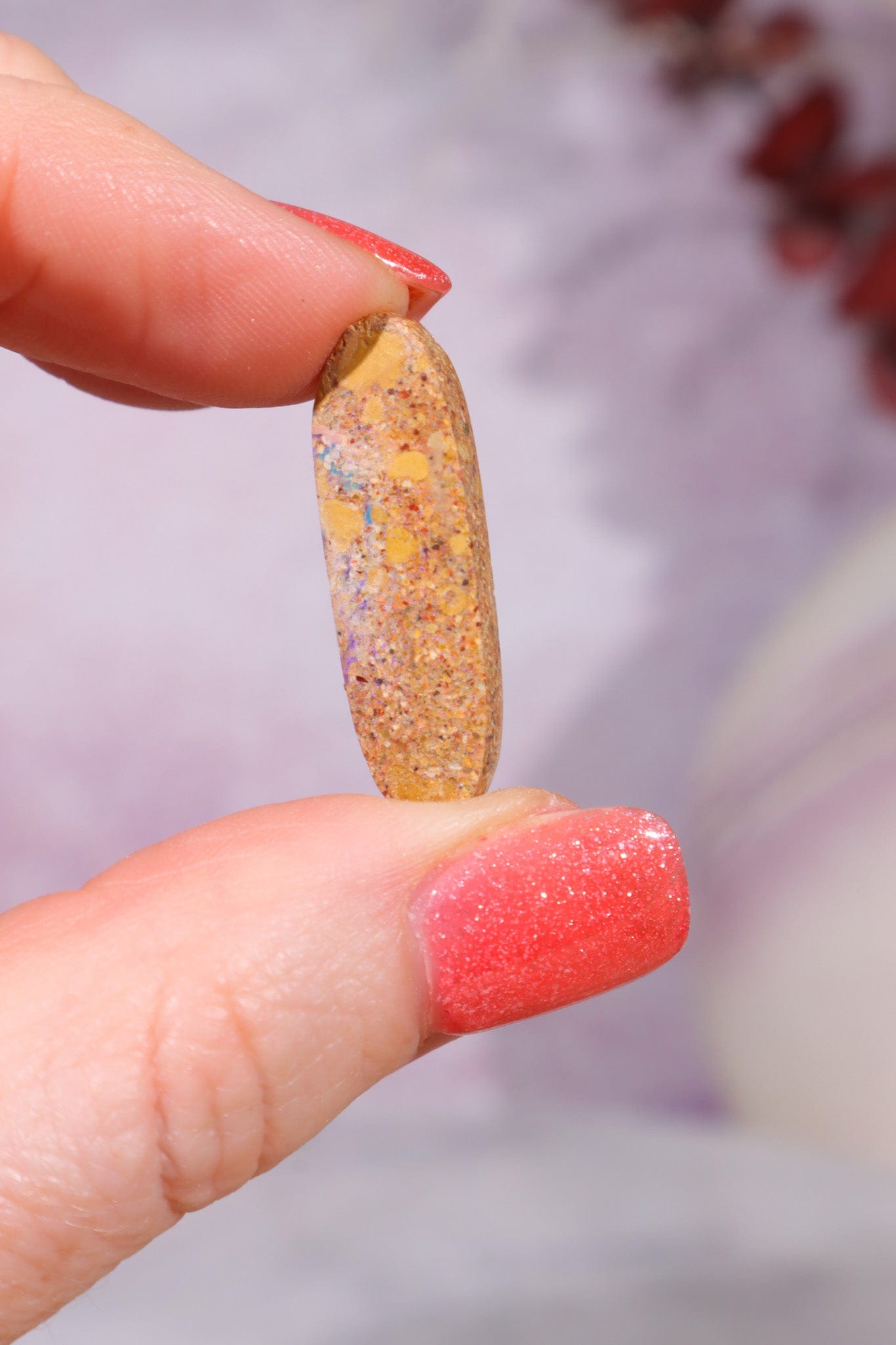 Australian Sand Fossil Opal Fossil Tali & Loz Crystals