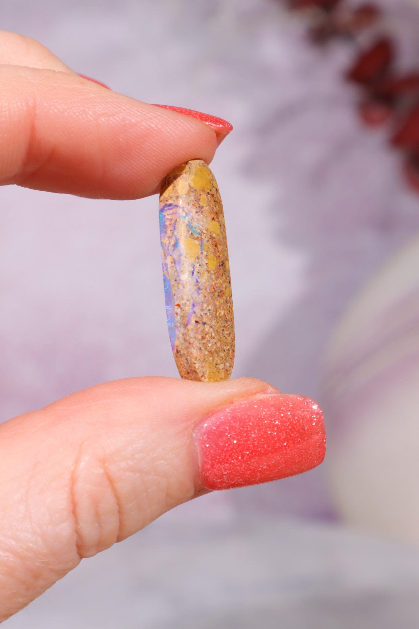 Australian Sand Fossil Opal Fossil Tali & Loz Crystals