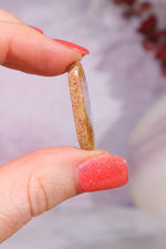 Australian Sand Fossil Opal Fossil Tali & Loz Crystals