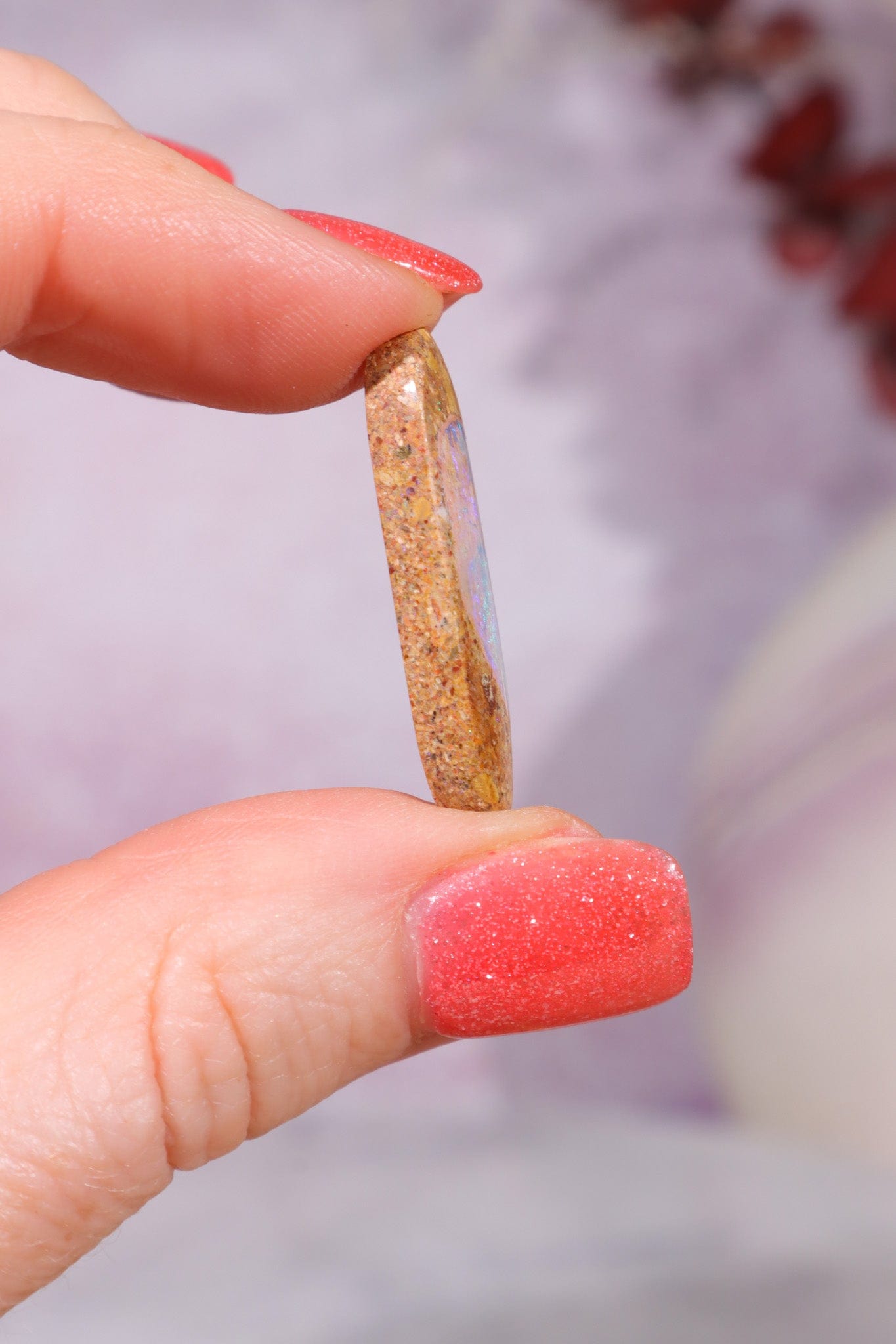 Australian Sand Fossil Opal Fossil Tali & Loz Crystals