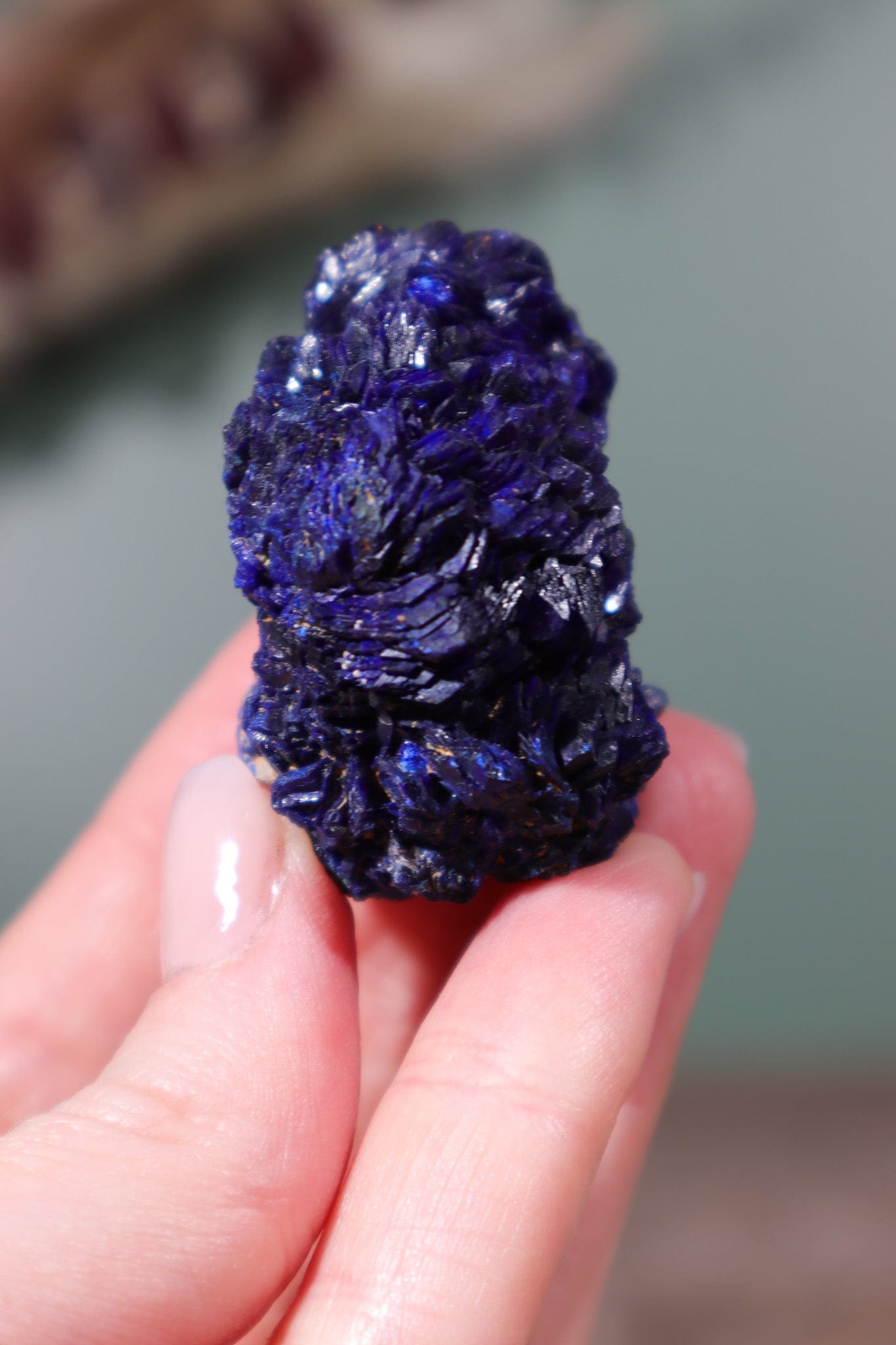 Azurite Specimen 72gr - Tali & Loz Crystals