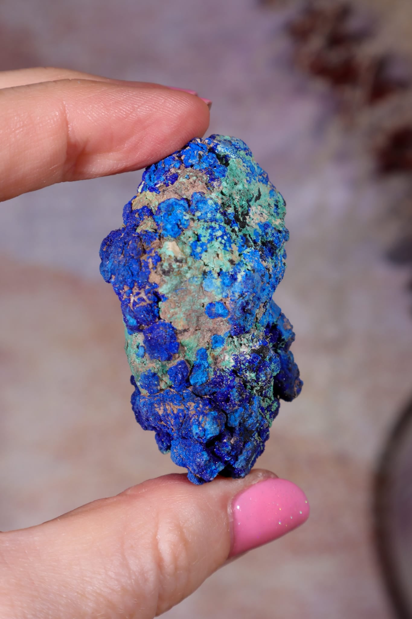 Azurite with Malachite | 52mm | Little Daisy Mine, Arizona Minerals Tali & Loz
