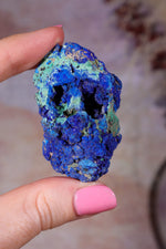 Azurite with Malachite | 52mm | Little Daisy Mine, Arizona Minerals Tali & Loz