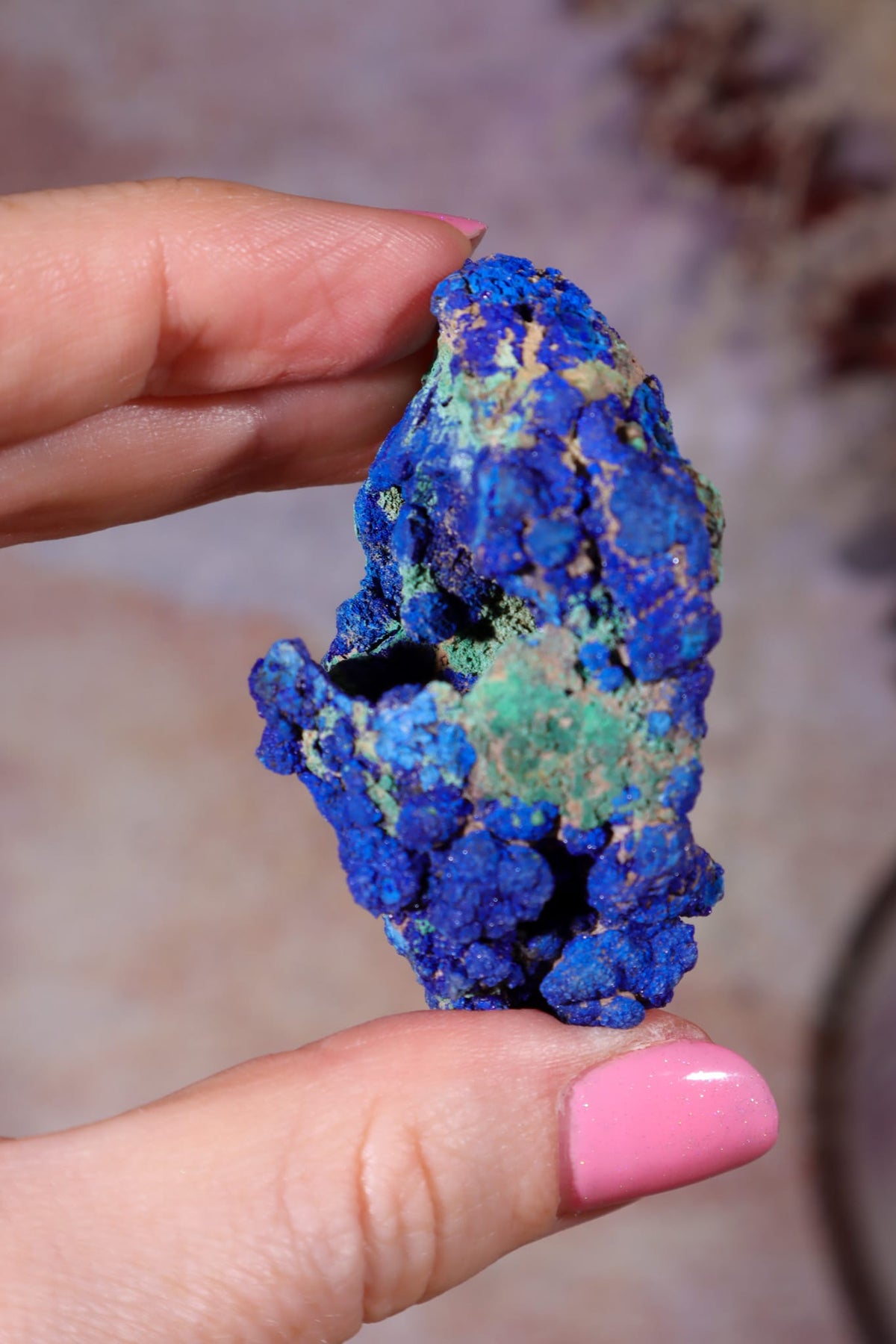 Azurite with Malachite | 52mm | Little Daisy Mine, Arizona Minerals Tali & Loz