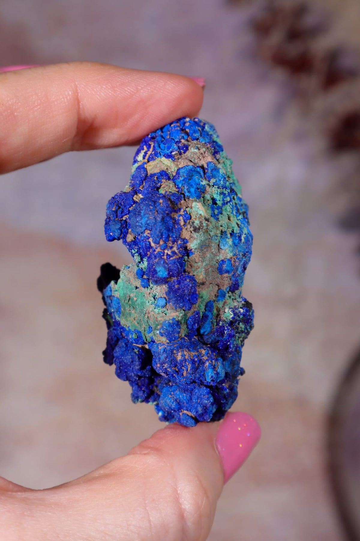 Azurite with Malachite | 52mm | Little Daisy Mine, Arizona Minerals Tali & Loz