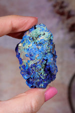 Azurite with Malachite | 52mm | Little Daisy Mine, Arizona Minerals Tali & Loz