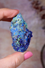 Azurite with Malachite | 52mm | Little Daisy Mine, Arizona Minerals Tali & Loz