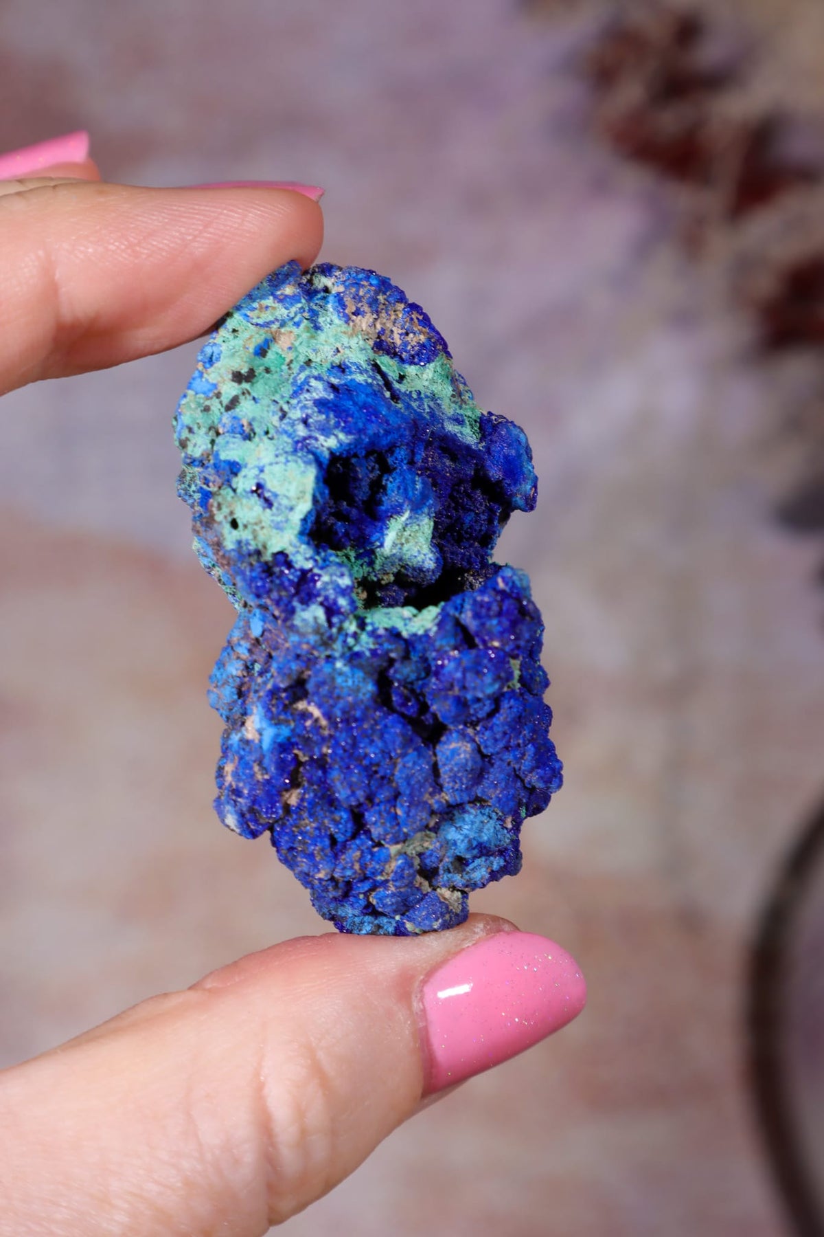 Azurite with Malachite | 52mm | Little Daisy Mine, Arizona Minerals Tali & Loz