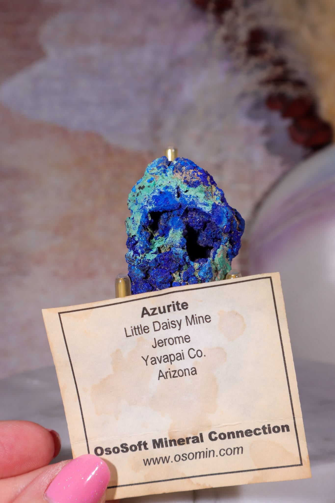 Azurite with Malachite | 52mm | Little Daisy Mine, Arizona Minerals Tali & Loz