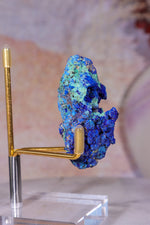 Azurite with Malachite | 52mm | Little Daisy Mine, Arizona Minerals Tali & Loz