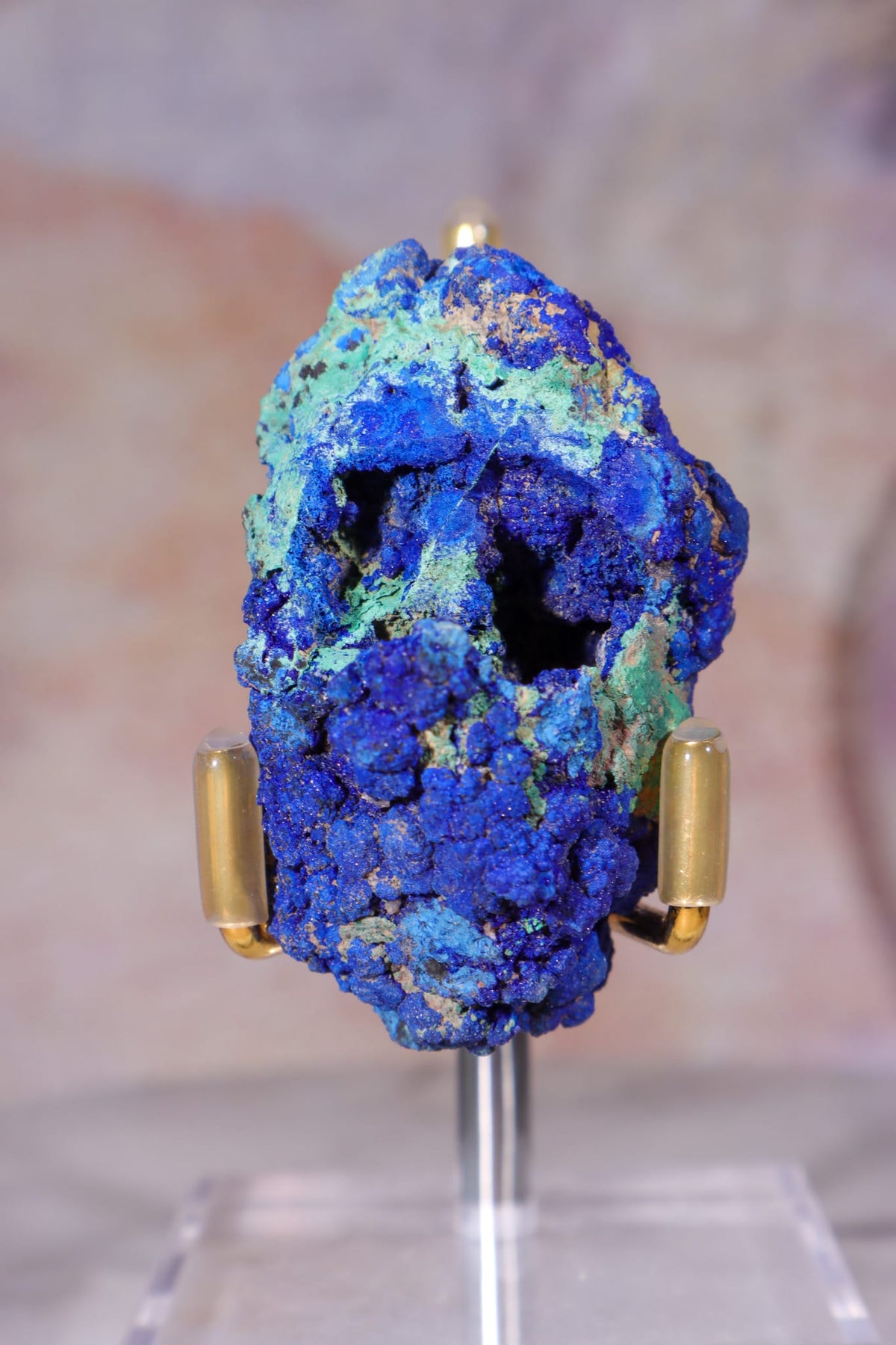 Azurite with Malachite | 52mm | Little Daisy Mine, Arizona Minerals Tali & Loz