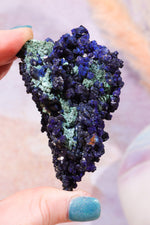 Azurite with Malachite Specimen, Sold As Seen Specimens Tali & Loz Crystals