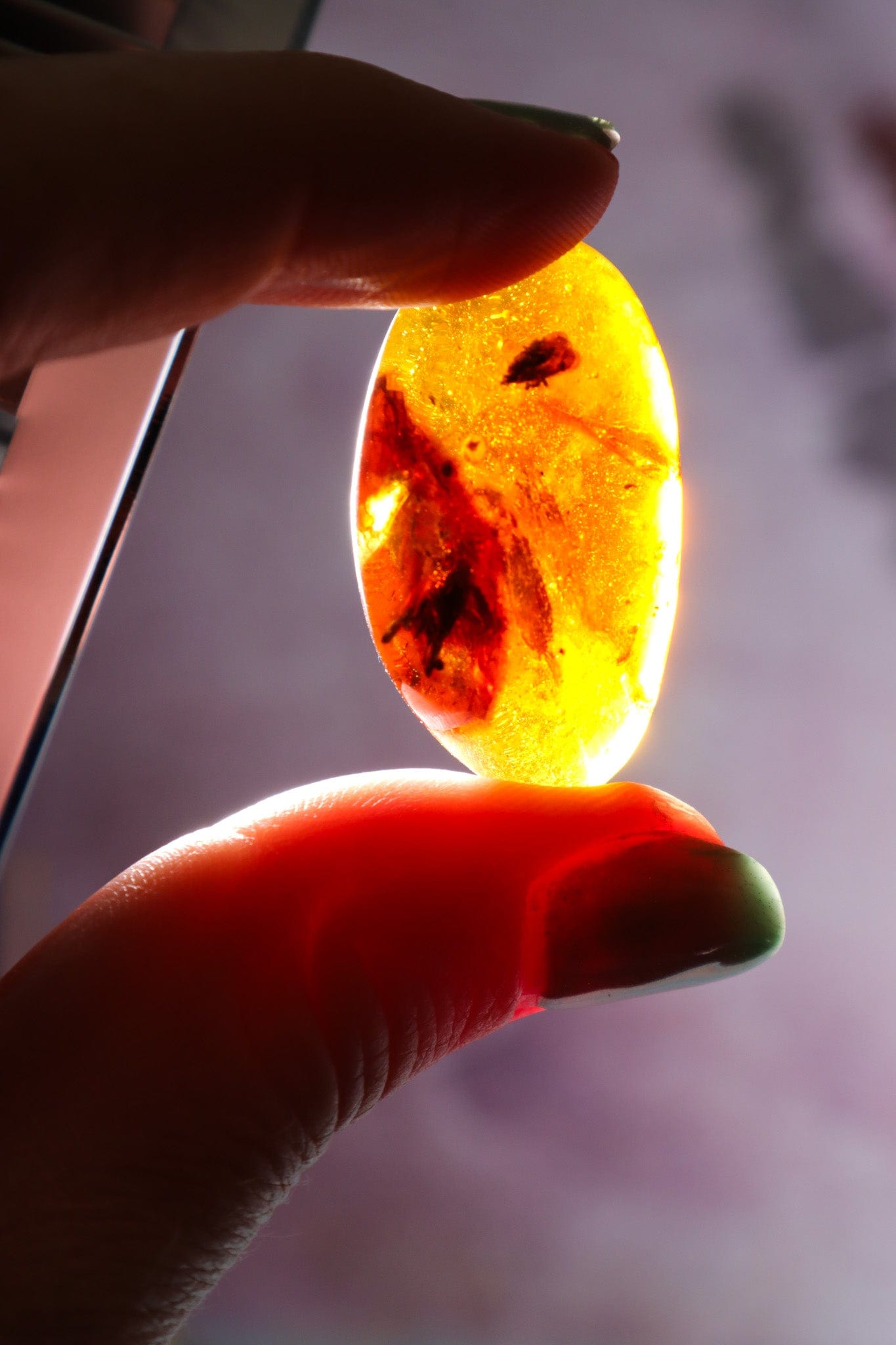 Baltic Amber With Insect 3.3cm Polished Crystals Tali & Loz Crystals