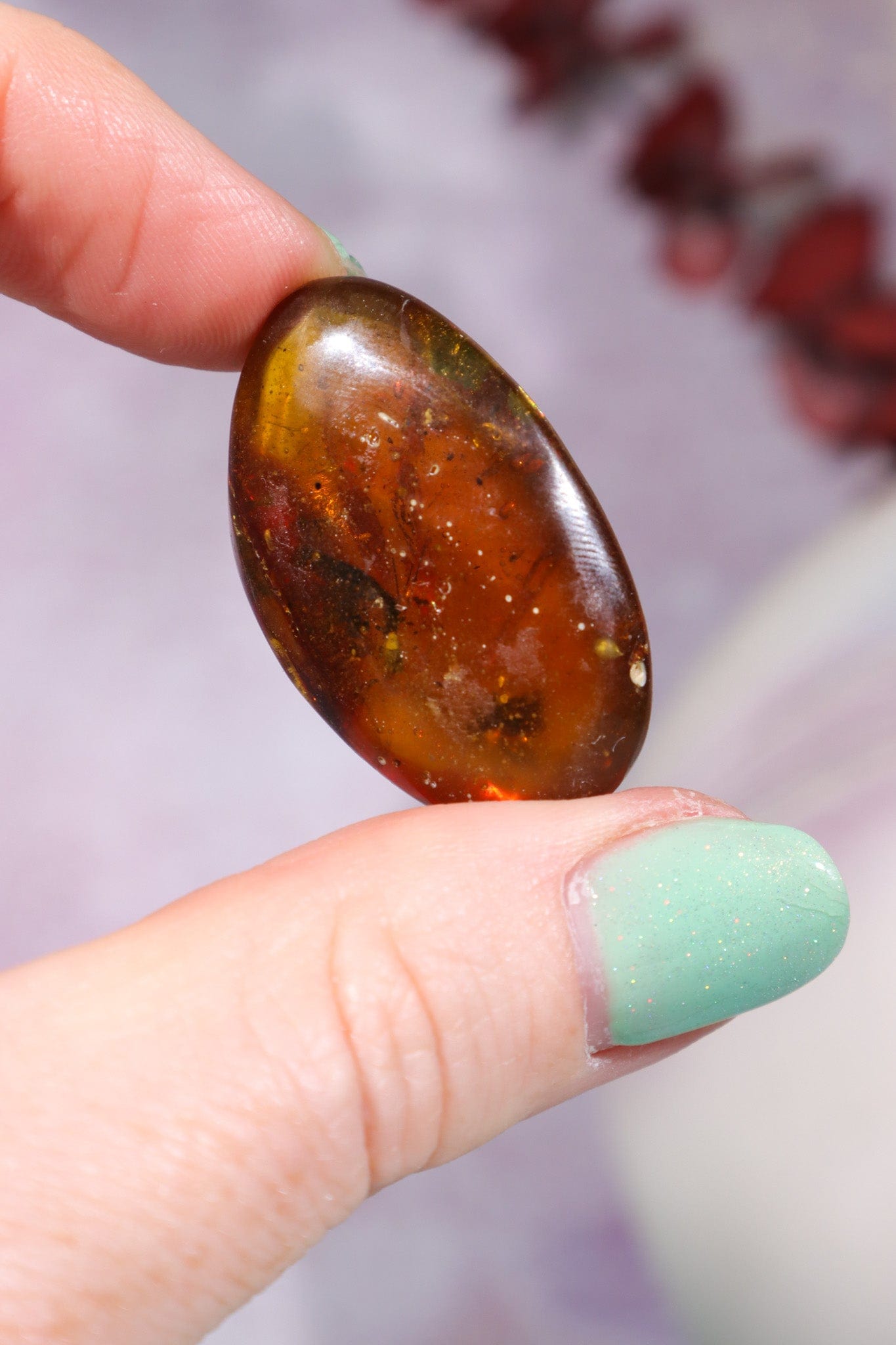Baltic Amber With Insect 3.3cm Polished Crystals Tali & Loz Crystals