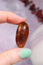 Baltic Amber With Insect 3.3cm Polished Crystals Tali & Loz Crystals
