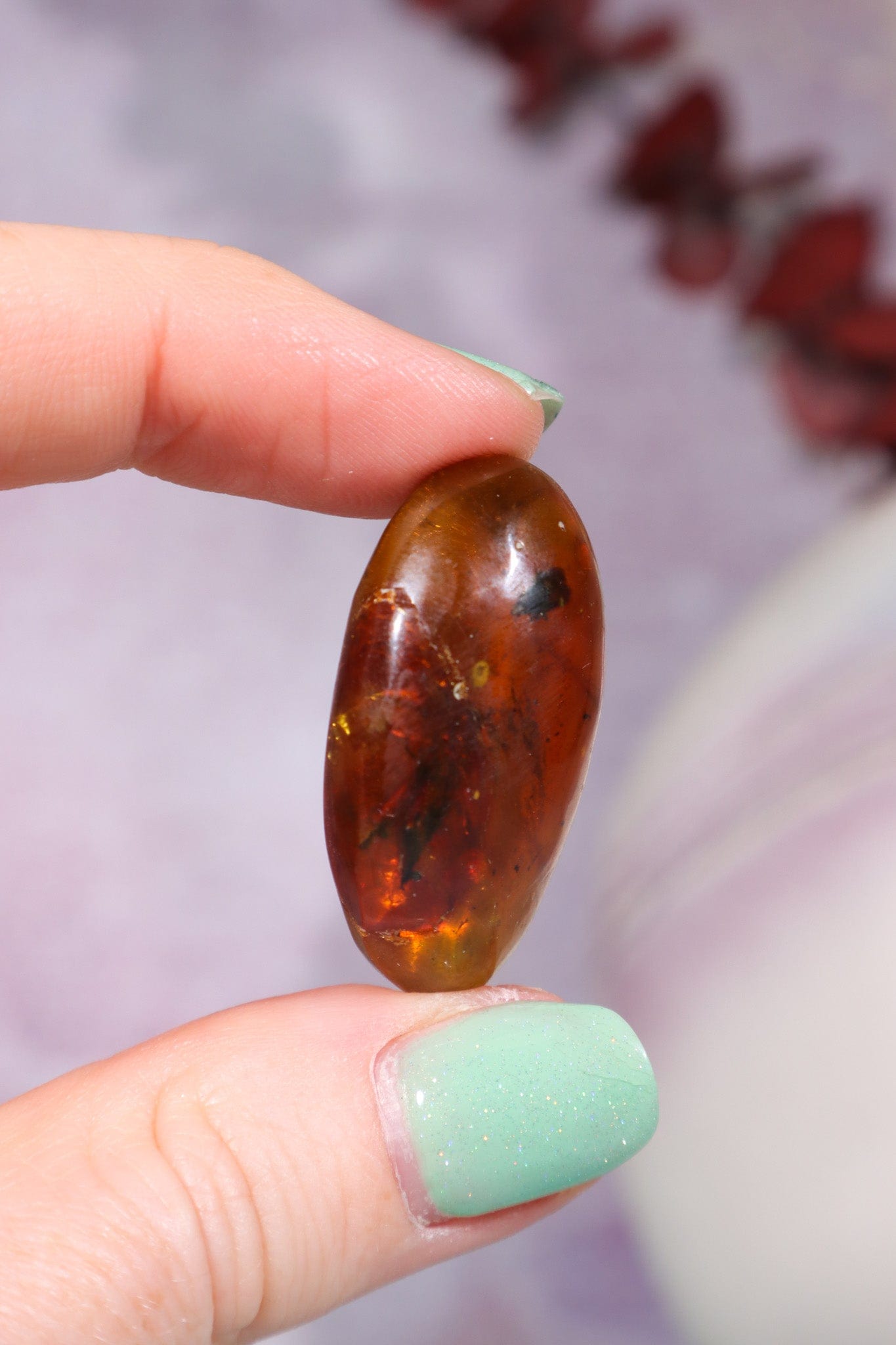 Baltic Amber With Insect 3.3cm Polished Crystals Tali & Loz Crystals
