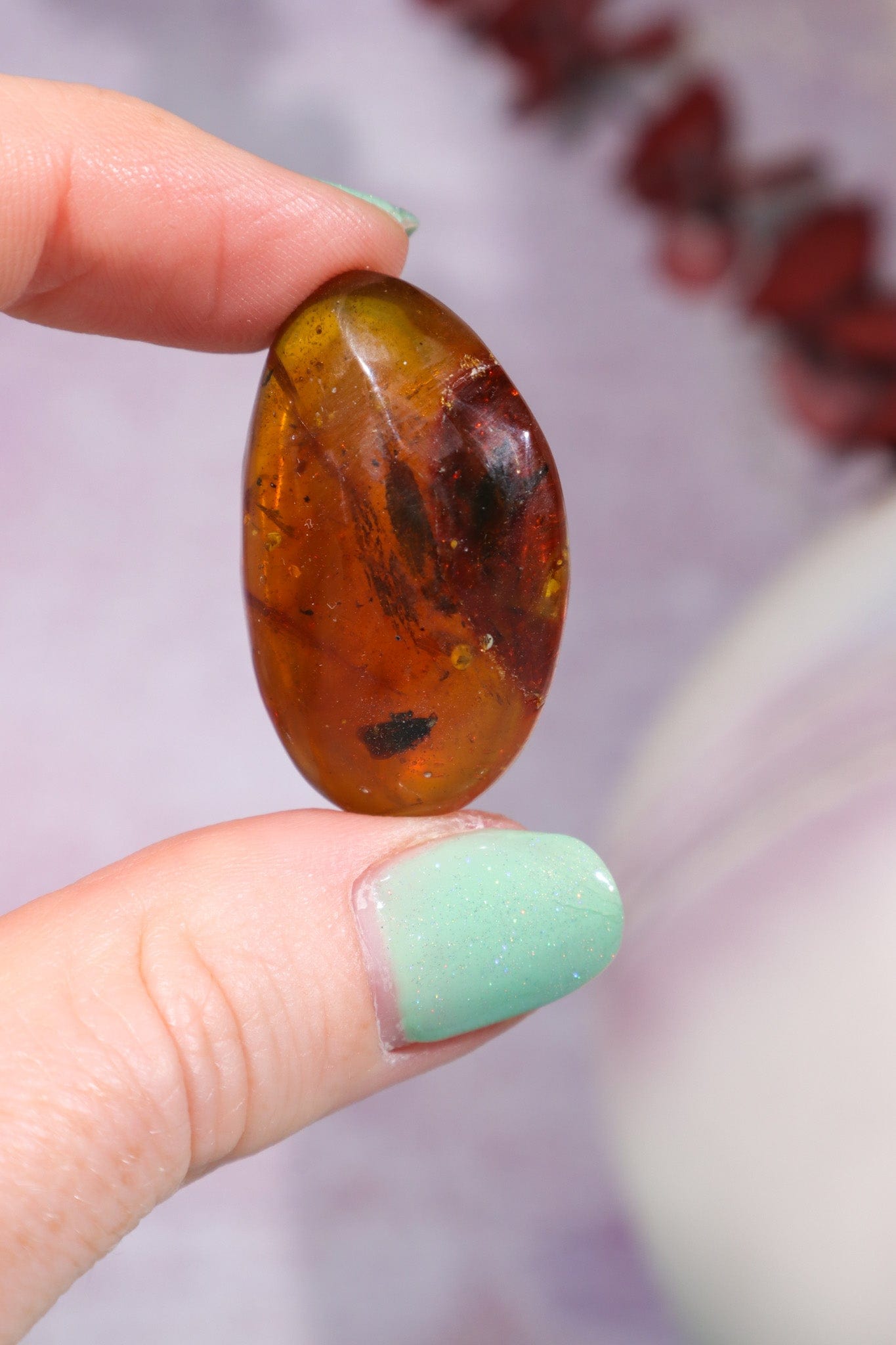 Baltic Amber With Insect 3.3cm Polished Crystals Tali & Loz Crystals