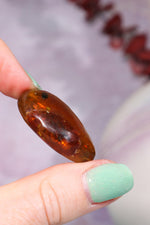 Baltic Amber With Insect 3.3cm Polished Crystals Tali & Loz Crystals