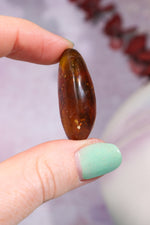 Baltic Amber With Insect 3.3cm Polished Crystals Tali & Loz Crystals